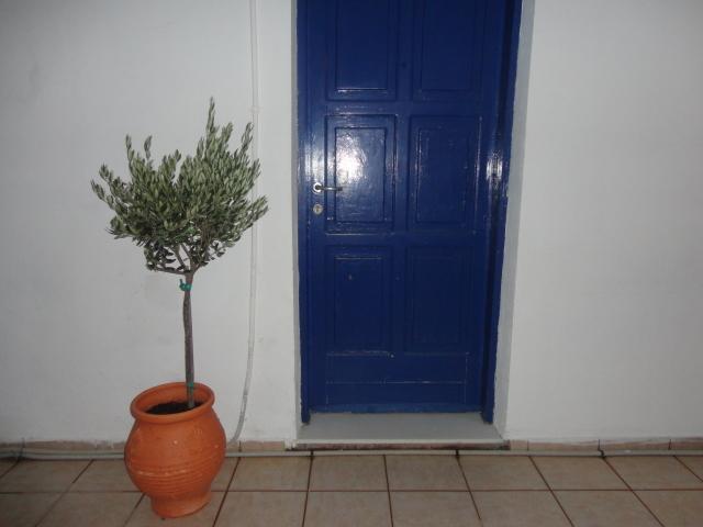 Pavlos Rooms Livadia  エクステリア 写真